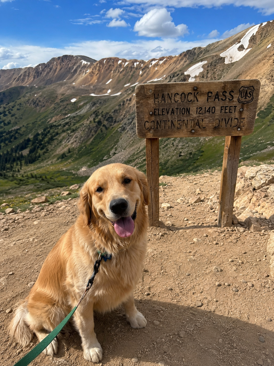 Happy dog at a Colorado trail landmark